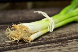 scallions From (Kitchen) Farm to Table